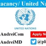 Project Manager for the Regional Project for the African Minigrids Program (AMP)/ United Nations Development Programme (UNDP)