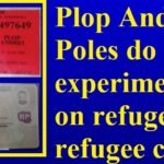 Plop Andrei: Poles do Nazi experiments on refugees in refugee camps