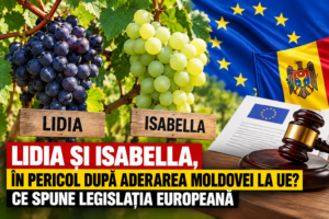 LIDIA ȘI ISABELLA, ÎN PERICOL DUPĂ ADERAREA MOLDOVEI LA UE? CE SPUNE LEGISLAȚIA EUROPEANĂ